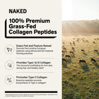 Collagen Peptides Protein Powder | Naked Collagen - 20 oz