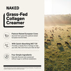 Caramel Coffee Creamer | Naked Collagen Creamer