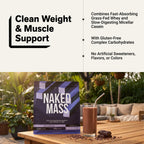 Chocolate Mass Gainer Protein Supplement | Naked Chocolate Mass - 12LB