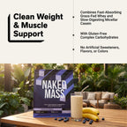 Mass Gainer Protein Supplement | Naked Mass - 12LB