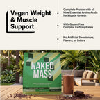 Chocolate Vegan Mass Gainer Protein Powder | No Additives