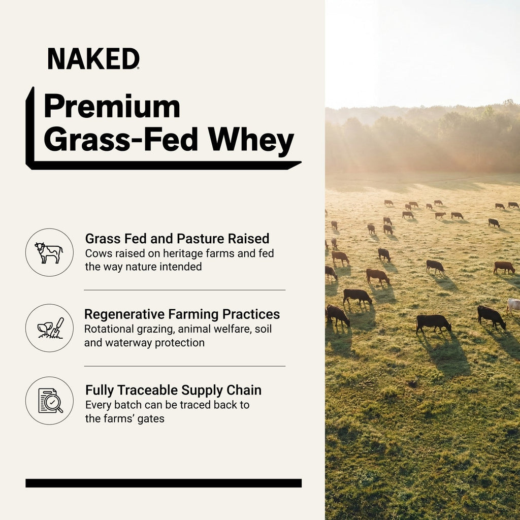 Chocolate Whey Protein Powder | Naked Chocolate Whey - 5LB