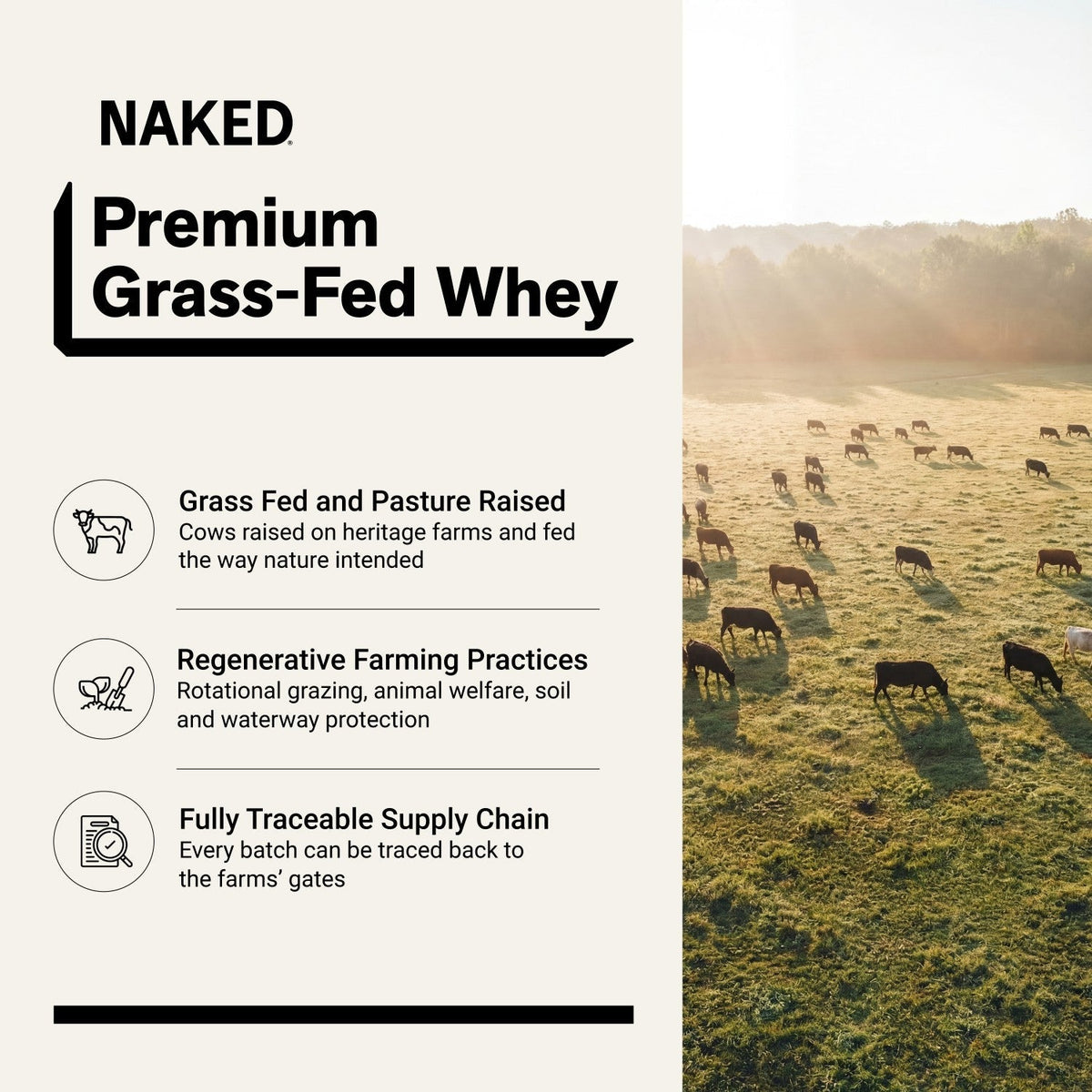 Chocolate Peanut Butter Whey Protein Powder 2LB | Naked Whey - 2LB
