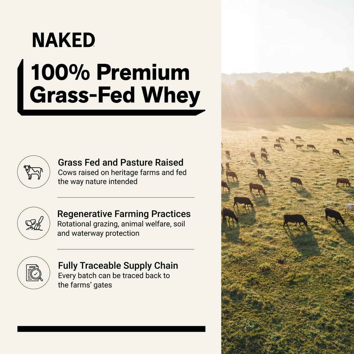 Grass Fed Whey Protein Powder | Naked Whey - 2LB